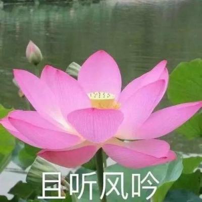 「澎湃新闻」卸任四川省卫健委主任后，48岁敬静重回华西